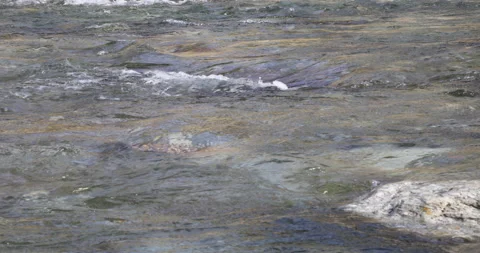 Water Stock Footage 226219041