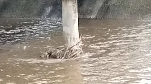 Water Stock Footage 227467415