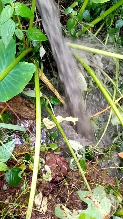 Water Stock Footage 231199901