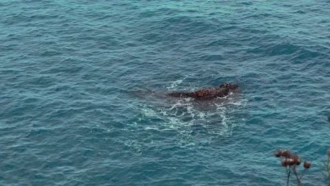 Water 库存影片 231898109