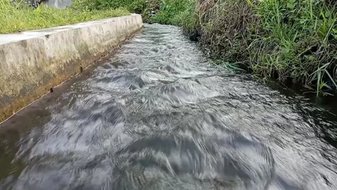 Water Stock Footage 233667082