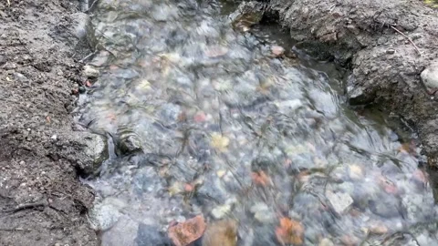 Water Stock Footage 250626935