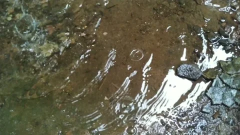 Water Stock Footage 266403963