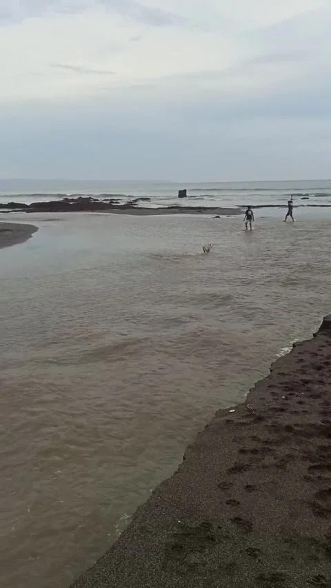 Water Stock Footage 287838374