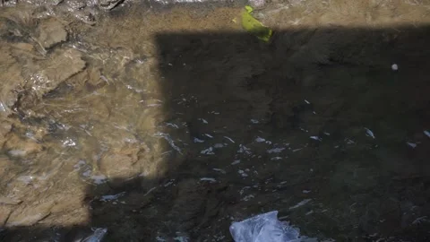 Water Stock Footage 296131251