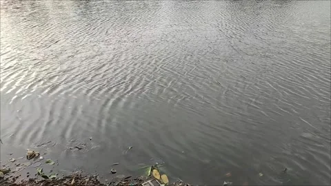 Water Stock Footage 320132026