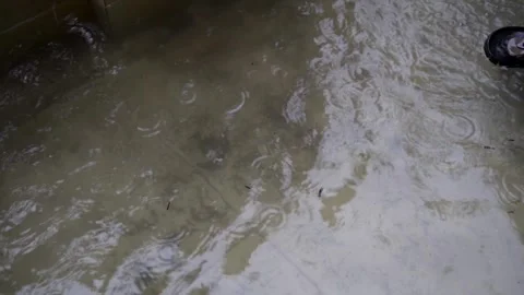 Water Stock Footage 324532496