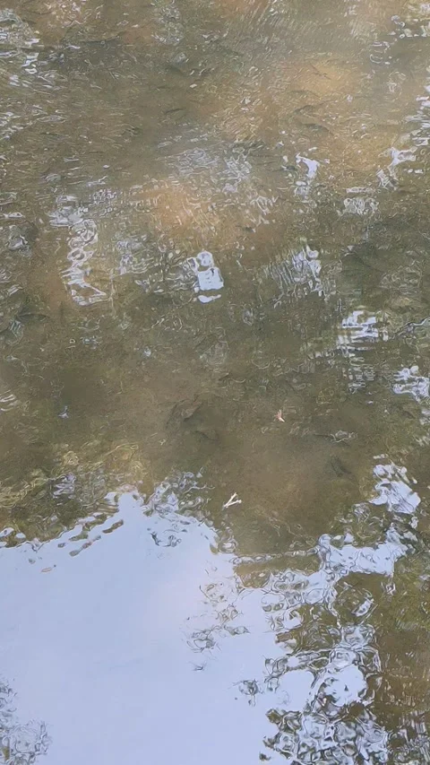 Water Stock Footage 331204423