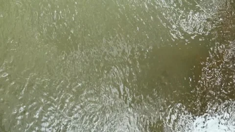 Water Stock-Footage 331574446