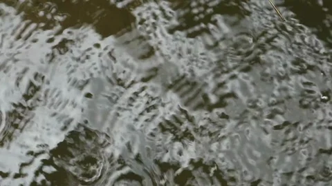 Water Stock Footage 332431362
