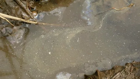 Water Stock-Footage 332431536
