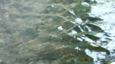 Water Stock Footage 336510469