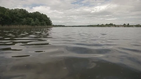 Water Forest Cloudy Sky Horizon Stock Footage