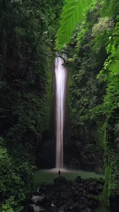 Water in the forest 스톡 동영상 332606392