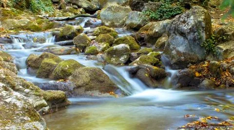 Water in forest  river Stock Photos
