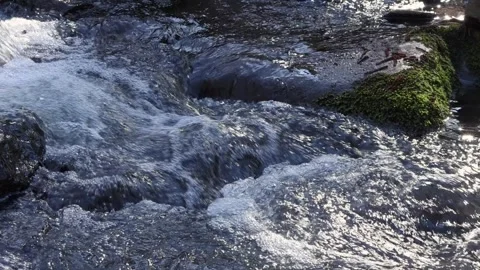 Water in a forest stream flowing over stones 스톡 동영상 271185815
