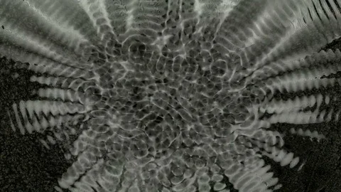 cymatics chaos free download