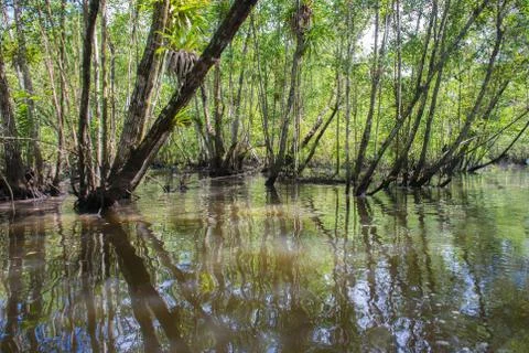 Water forms and effects all over the beach Stock Photos