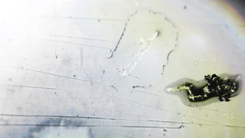 Water freezes and forms a snowflake under a microscope Stock Footage 86789506