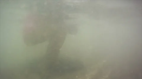 Water fun 库存影片 26951134