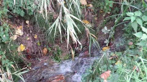 Water games Stock Footage 94333164