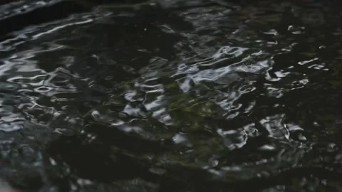 Water games 스톡 동영상 154427332