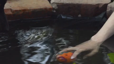 Water games Stock Footage 154427335