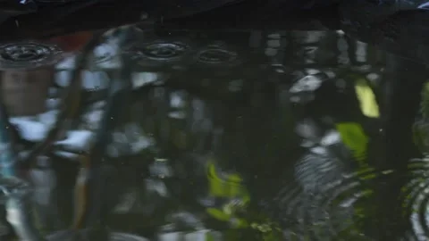 Water games 스톡 동영상 154427337