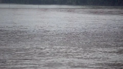The water of the Ganges river is shining 動画素材 217399618