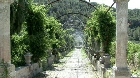 Water garden Stock Footage 631683