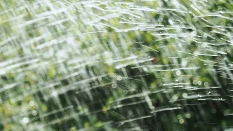 Water in the garden Stock Footage 113325159