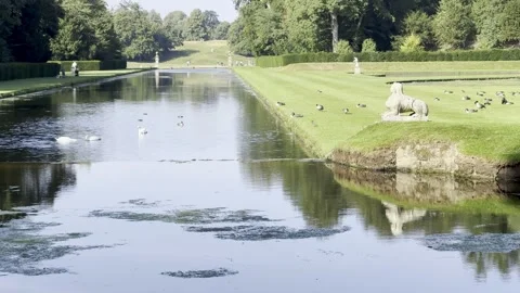 Water Garden Stock Footage 283642146