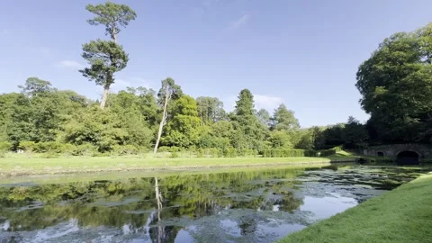 Water Garden Stock Footage 283642195