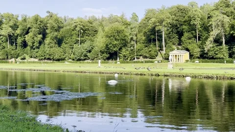 Water Garden Stock Footage 283642211