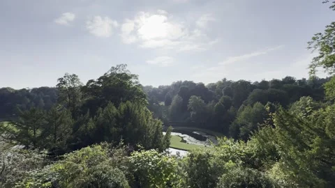 Water Garden Stock Footage 283642237
