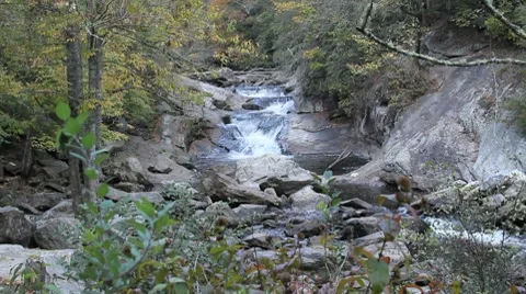 Water gently flowing in a stream Video stock 8835664