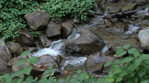 Water gently flowing in a stream Video stock 12357079