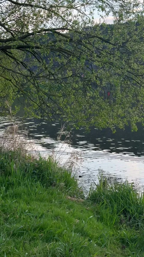Water, gently moving across the tranquil surface, reflecting ambient light under Stock Footage 334839143
