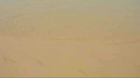 Water gently rippling on a beach Stock Footage 310791757
