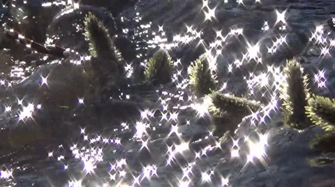 Water glare 库存影片 63108463