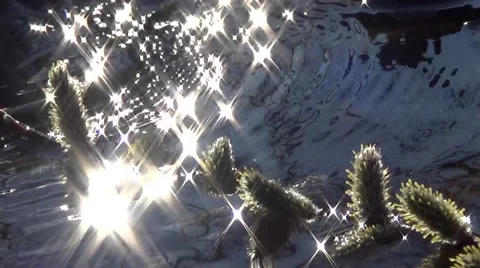 Water glint 库存影片 63108460