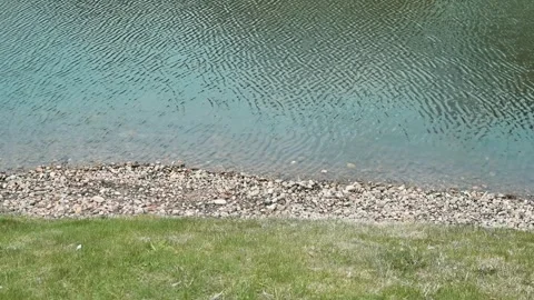 Water glistens under sunlight as it flows gently along a pebble-strewn shore Stock Footage 339094287