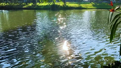 Water Glitter Stock Footage 165915641