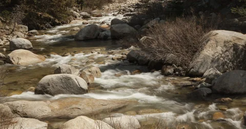 Water going Downstream in Sequoia Stock Footage 37810593
