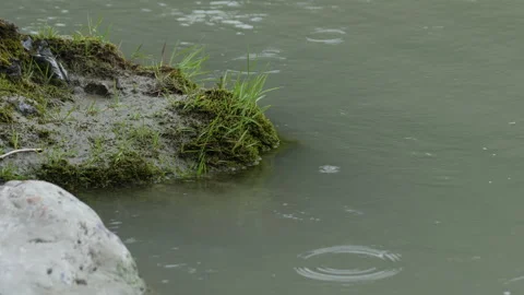 Water, grass and stone Stock Footage 204716161