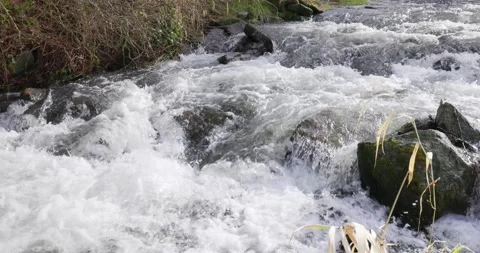 Water gushing over rocks in forest Stock Footage 170380397
