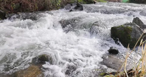 Water gushing over rocks in forestriver Stock Footage 170380499