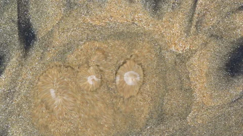 Water Gushing from Sand Bed Stockbeeldmateriaal 52637025