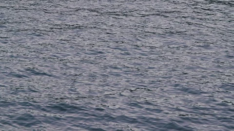 Water in harbor with reflecting sky 動画素材 125624070