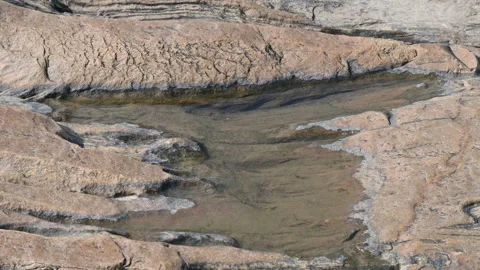Water has collected on the rock's surface. Stock Footage 291628998